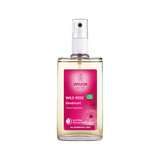 Weleda Wild Rose Deodorant 100mL