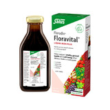 Salus Floradix Floravital Liquid Iron Plus Oral Liquid 250ml