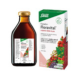 Salus Floradix Floravital Liquid Iron Plus Oral Liquid 500ml