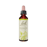 Bach Flower Remedies Clematis 20mL