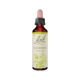 Bach Flower Remedies Clematis 20mL