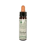 Ainsworths Original Dr. Bach Method Flower Essence Hornbeam 10mL