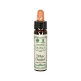 Ainsworths Original Dr. Bach Method Flower Essence White Chestnut 10mL