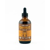 Life Cykel Shitake Mushroom Liquid Extract 120mL