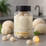 Apollo Nutraceuticals Lions Mane Gummies 60 Lychee Flavour