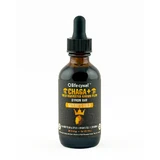 Life Cykel Chaga Mushroom Liquid Extract 60mL