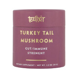 Teelixir Turkey Tail Mushroom 50g