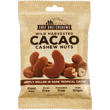 East Bali Cashews Cacao Cashew Nuts Wild Harvested 35g