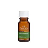 Oil Garden Frankincense Pure Essential Oil 12mL