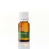 Oil Garden Pine Needle Pure Essential Oil 12mL