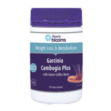Garcinia Plus Green Coffee Bean 2500mg 120 caps
