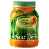 Alkalising Wheat Grass Powder Certified Organic 1kg