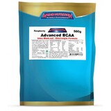 Advanced BCAA Intra Work-out Electrolyte Formula 500g Pineapple