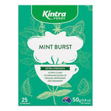 Mint Burst 25 filter bags