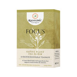 Roogenic Focus (Native Plant Tea Elixir) 18 Biodegradable Teabags