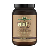 Vital 100% Natural Plant Based Protein 1kg