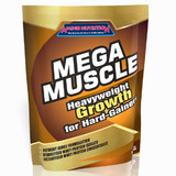 Amino Nutrition Mega Muscle Mass Gainer Protein 1kg